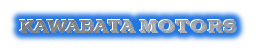 河端モータース logo