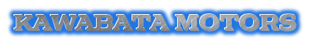 河端モータース logo